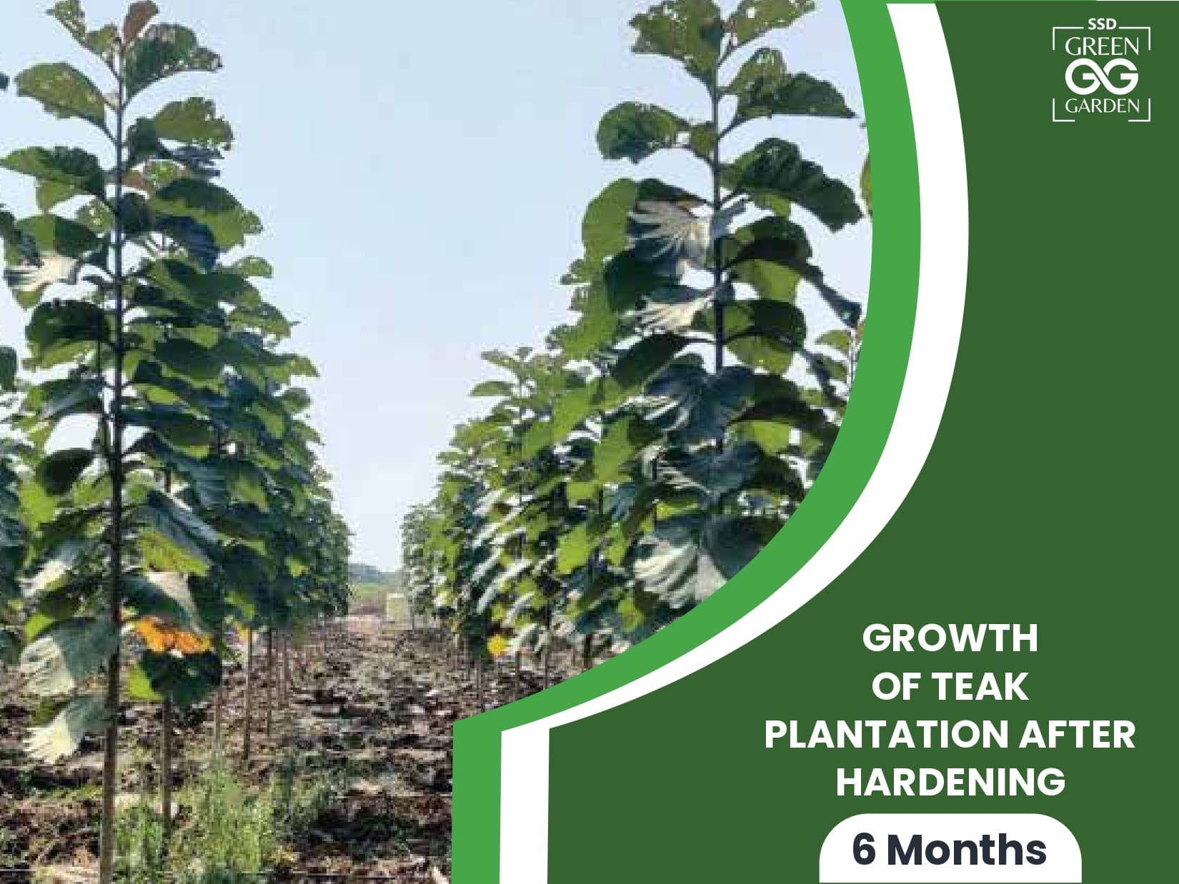 SSD broucher 2411_v2_ABHISHEK_page-0028