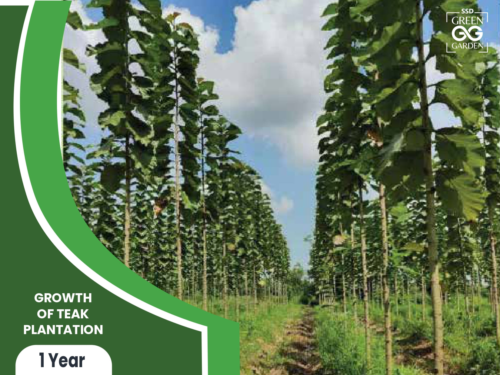 SSD broucher 2411_v2_ABHISHEK_page-0029