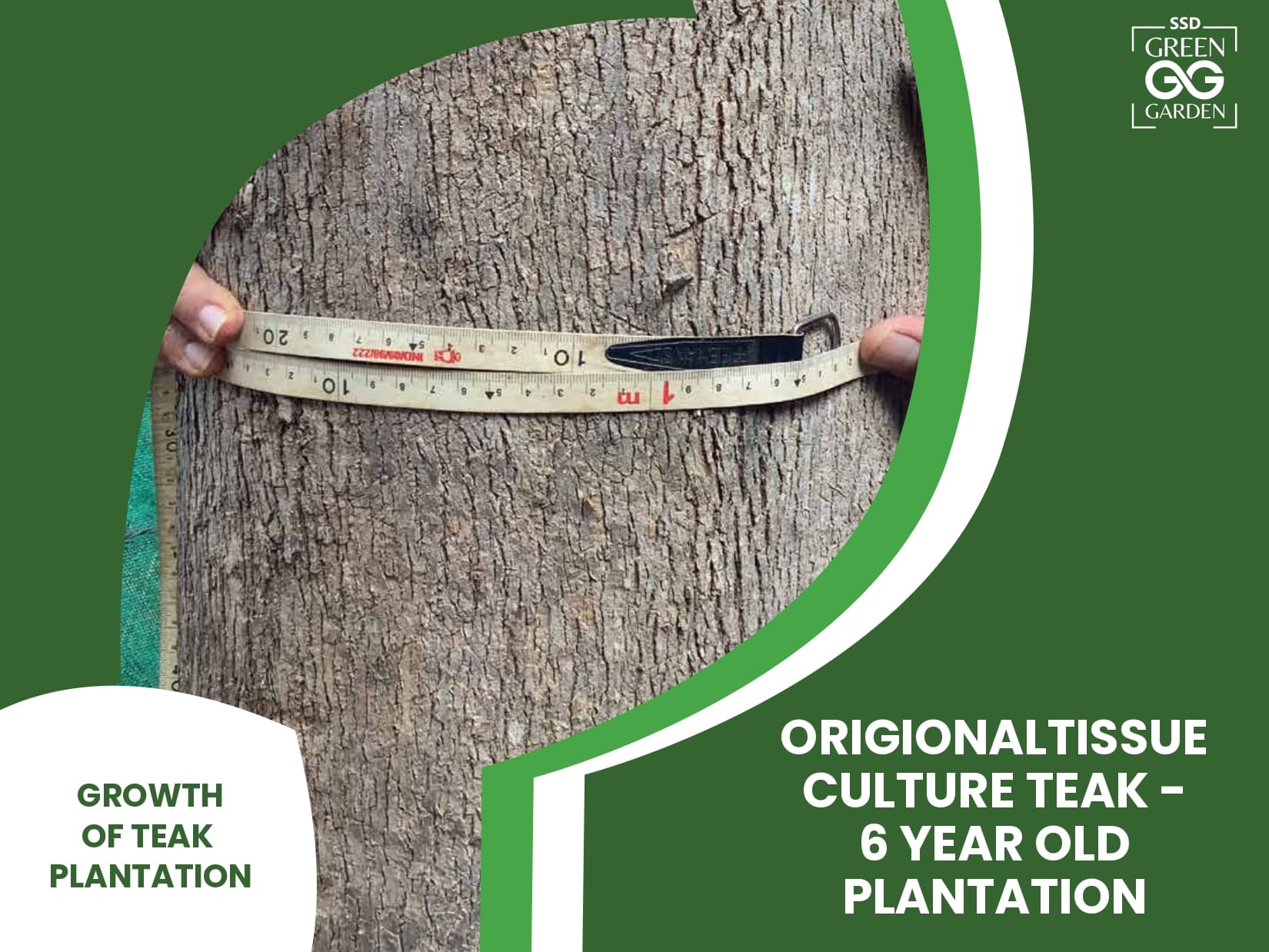 SSD broucher 2411_v2_ABHISHEK_page-0030