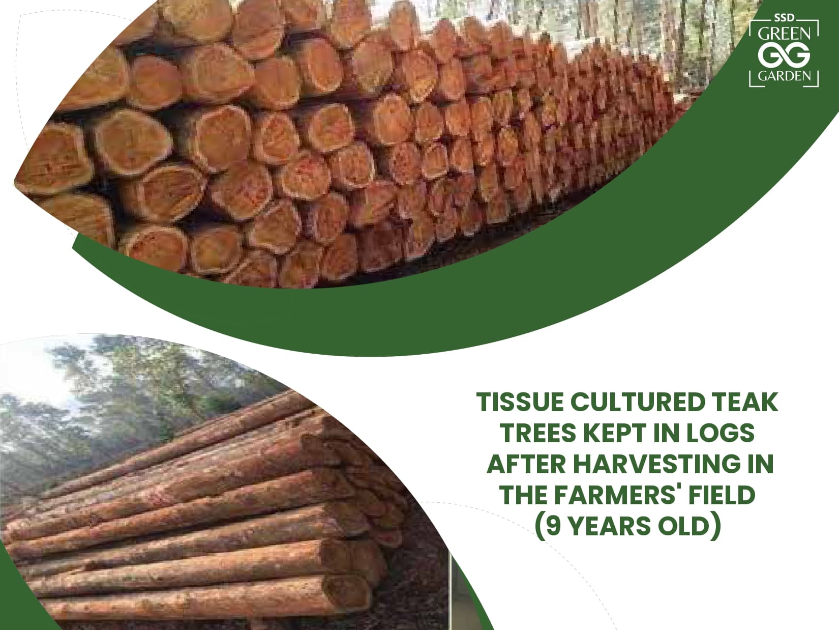 SSD broucher 2411_v2_ABHISHEK_page-0031