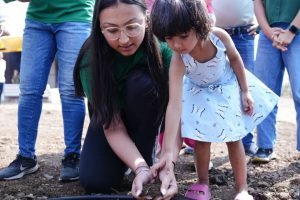 First Plantation 2